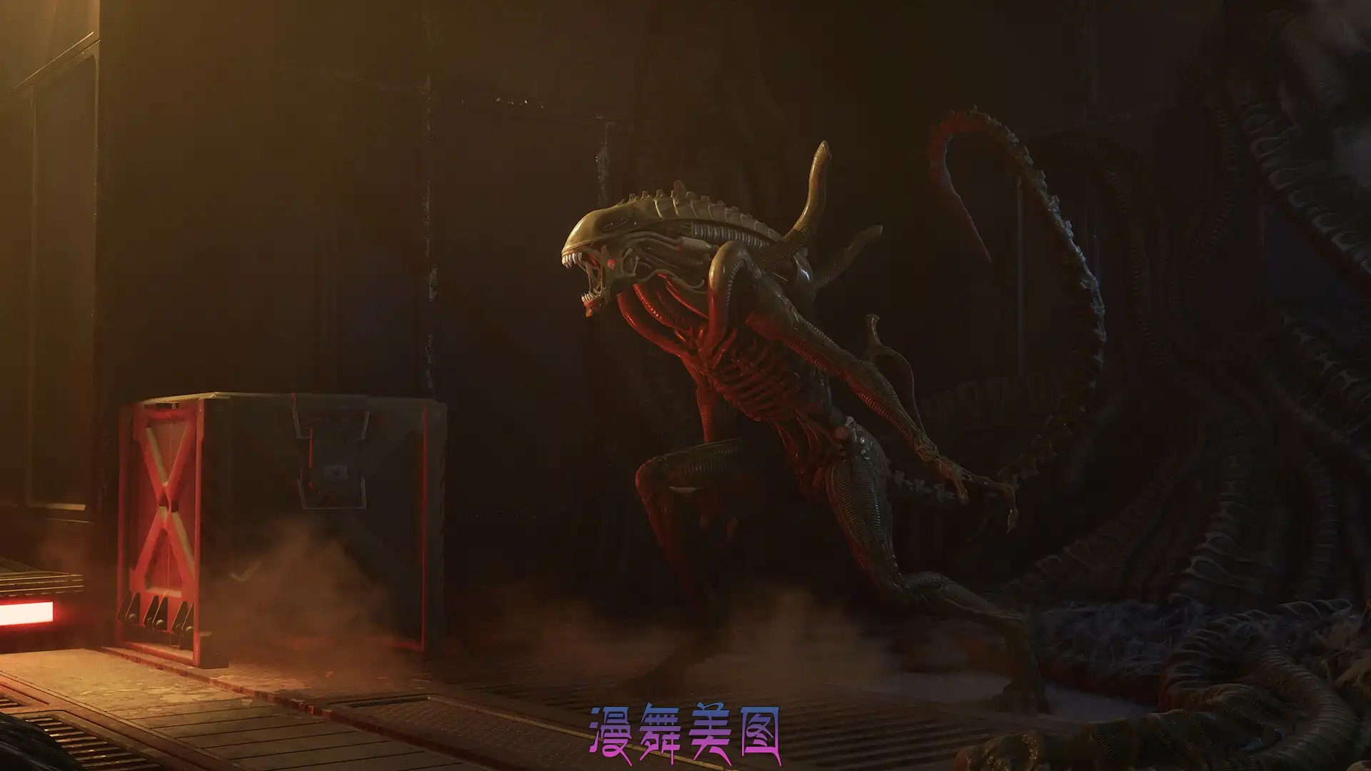 异形:盗贼入侵/Alien: Rogue Incursion Evolved Edition/Build.20197719官简中文20GB/支持键盘.鼠标.手柄 动作冒险 第3张-漫舞美图