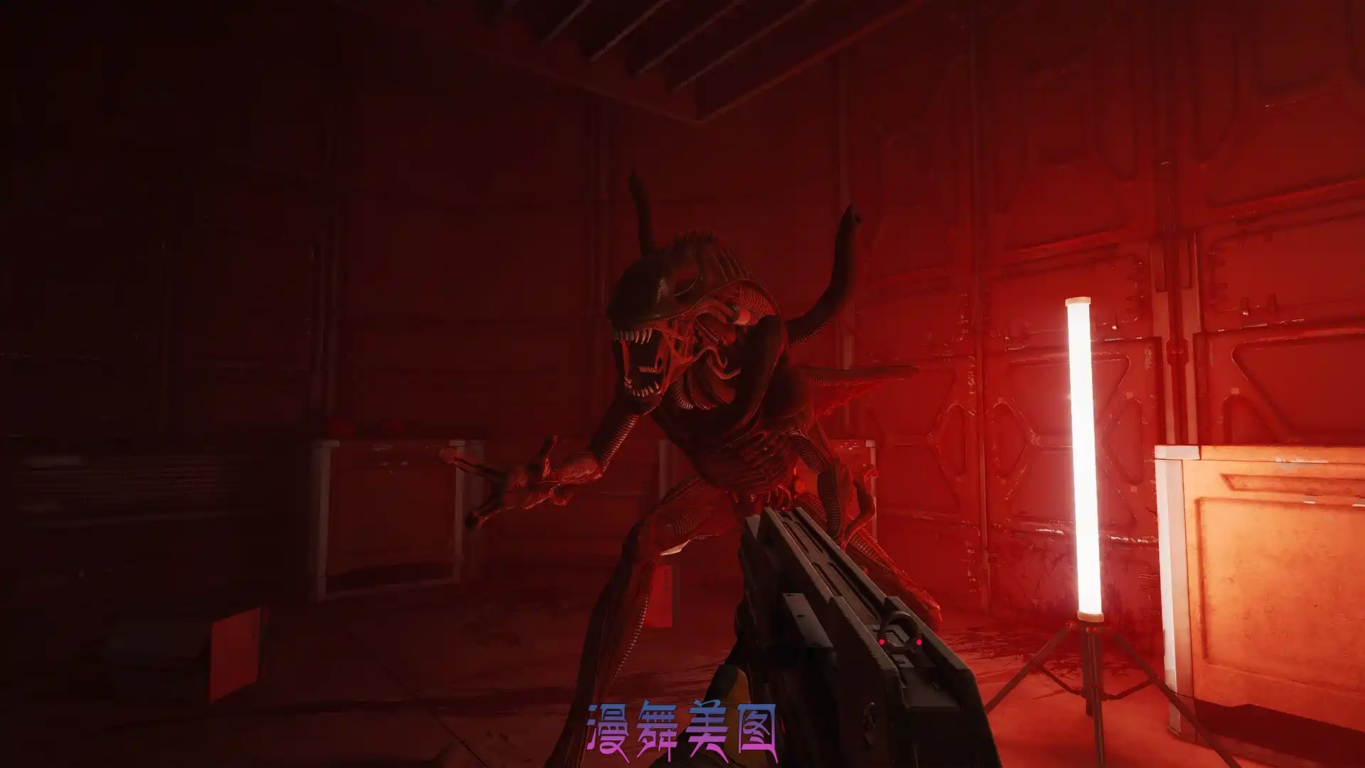 异形:盗贼入侵/Alien: Rogue Incursion Evolved Edition/Build.20197719官简中文20GB/支持键盘.鼠标.手柄 动作冒险 第4张-漫舞美图